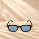 AZURIO Lazy Tortoise